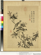 清蒋廷锡仿宋人花鸟　册　海棠,绘画,花草,翎毛