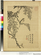 清蒋廷锡仿宋人花鸟　册　紫藤,绘画,花草,翎毛