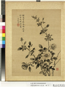 清蒋廷锡仿宋人花鸟　册　月季山鸟,绘画,花草,翎毛