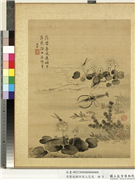 清蒋廷锡仿宋人花鸟　册　豆娘荷花,绘画,花草,水中动植物,草虫