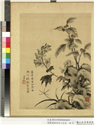 清蒋廷锡仿宋人花鸟　册　蟋蟀,绘画,花草,草虫,山水