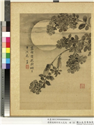 清蒋廷锡仿宋人花鸟　册　蝉鸣紫薇,绘画,山水,草虫,花草