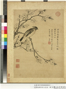 清蒋廷锡仿宋人花鸟　册　黄连雀,绘画,翎毛,花草