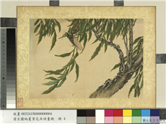 清王图炳夏景花卉诗画册　册　柳蝉,绘画,树木,草虫