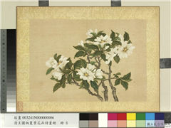清王图炳夏景花卉诗画册　册　栀子花,绘画,花草