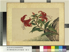 清王图炳夏景花卉诗画册　册　山丹,绘画,花草