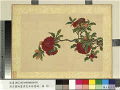 清王图炳夏景花卉诗画册　册　榴花,绘画,花草