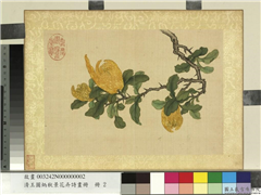 清王图炳秋景花卉诗画册　册　佛手,绘画,果蔬