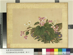清王图炳秋景花卉诗画册　册　秋海棠,绘画,花草