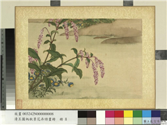 清王图炳秋景花卉诗画册　册　红蓼,绘画,花草,山水