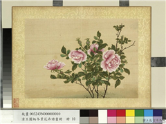 清王图炳冬景花卉诗画册　册　月季,绘画,花草