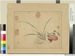清陈书摹古　册　花果,绘画,花草,果蔬