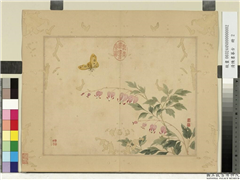 清陈书摹古　册　鱼儿牡丹,绘画,花草,草虫