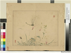 清陈书摹古　册　菊花蜻蜓,绘画,草虫,花草
