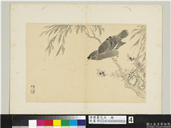 清陈书花卉　册　桃花八哥,绘画,花草,翎毛,树木