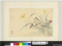 清陈书花卉　册　石竹萱花,绘画,山水,花草