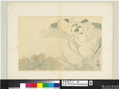清陈书花卉　册　荷花,绘画,花草