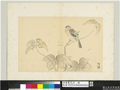 清陈书花卉　册　梧桐翎毛,绘画,树木,翎毛