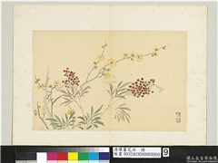 清陈书花卉　册　腊梅天竺,绘画,花草