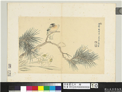 清陈书花卉　册　松树水仙,绘画,树木,花草,翎毛