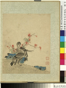 清陈书仿古花卉翎毛　册　鸬鹚,绘画,翎毛,花草,山水