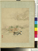 清陈书仿古花卉翎毛　册　芙蓉水鸭,绘画,花草,翎毛