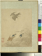 清陈书仿古花卉翎毛　册　芦苇翔鹰,绘画,花草,翎毛