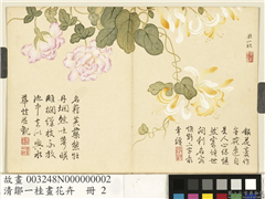 清邹一桂画花卉　册　金银藤缠枝莲,绘画,花草