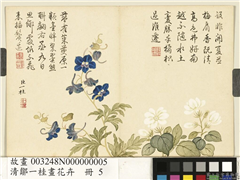 清邹一桂画花卉　册　翠雀,绘画,花草