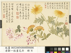 清邹一桂画花卉　册　蓬蒿金盏,绘画,果蔬,花草