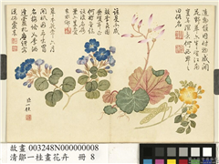 清邹一桂画花卉　册　望江南虎耳草翠梅,绘画,花草