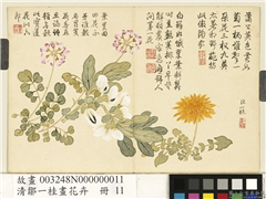 清邹一桂画花卉　册　蒲公英荷花郎,绘画,花草