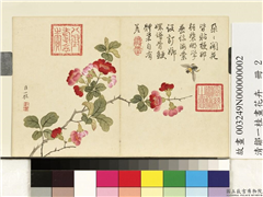 清邹一桂画花卉　册　海棠,绘画,花草,草虫