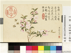 清邹一桂画花卉　册　郁李,绘画,花草,草虫