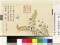 清邹一桂画花卉　册　水木樨,绘画,花草,草虫