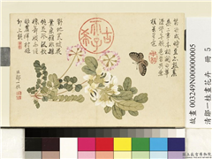 清邹一桂画花卉　册　紫花地丁,绘画,花草,草虫