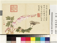 清邹一桂画花卉　册　鱼儿牡丹,绘画,花草,草虫