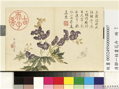 清邹一桂画花卉　册　僧鞋菊,绘画,花草,草虫