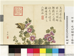 清邹一桂画花卉　册　锦葵,绘画,花草,草虫
