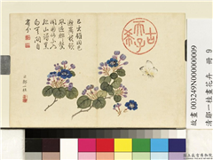 清邹一桂画花卉　册　翠梅,绘画,花草,草虫
