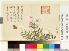清邹一桂画花卉　册　剪秋罗,绘画,花草,草虫