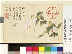 清邹一桂画花卉　册　红蓼,绘画,花草,草虫