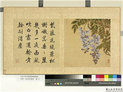 清邹一桂花卉画册　册　紫藤花,绘画,花草
