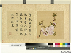 清邹一桂花卉画册　册　碧桃,绘画,花草