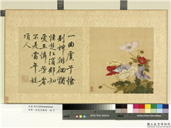 清邹一桂花卉画册　册　虞美人,绘画,花草