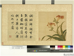清邹一桂花卉画册　册　宜男花,绘画,花草