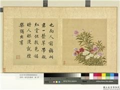 清邹一桂花卉画册　册　石竹,绘画,花草