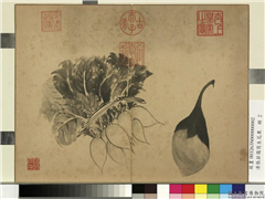 清张若霭写生花果　册　萝卜与茄,绘画,果蔬