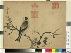 清张若霭写生花果　册　梅花蜡嘴,绘画,花草,翎毛
