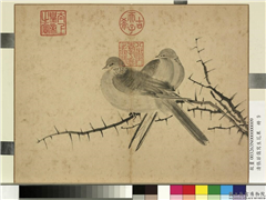 清张若霭写生花果　册　棘针白鸽,绘画,翎毛,花草